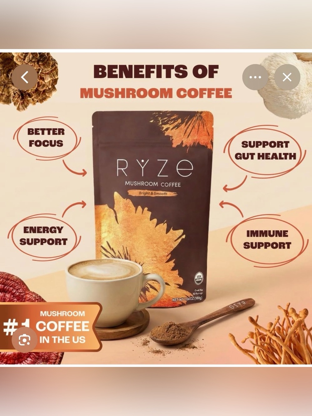 Mushroom Coffee One Bag 6.3oz : Two mini bag probiotic creamer: one scoop : NEW - Picture 4 of 16